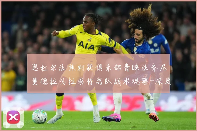 恩杜尔法焦利获俱乐部青睐法齐尼曼德拉戈拉或将离队战术观察-深度解析