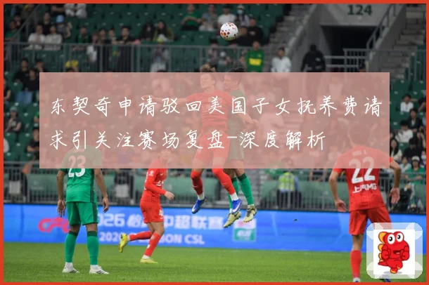 东契奇申请驳回美国子女抚养费请求引关注赛场复盘-深度解析