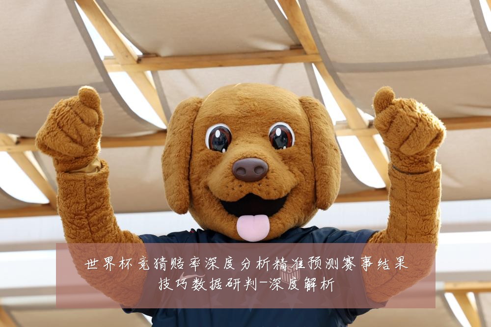 世界杯竞猜赔率深度分析精准预测赛事结果技巧数据研判-深度解析